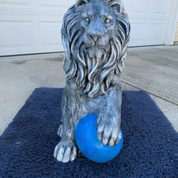3 foot tall lion guarding ball statue