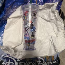 Disney Starbucks Cup 