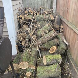 Logs For Fire Place Or Pit
