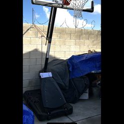 Basketball Hoop “50”