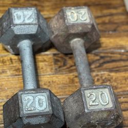 For Sale: 20lb Dumbbell Set 