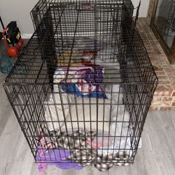 Dog Or Cat Cages