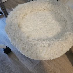 Cat Bed
