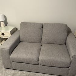 Living Spaces Couch 