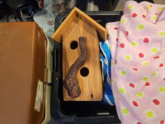 Bird houses