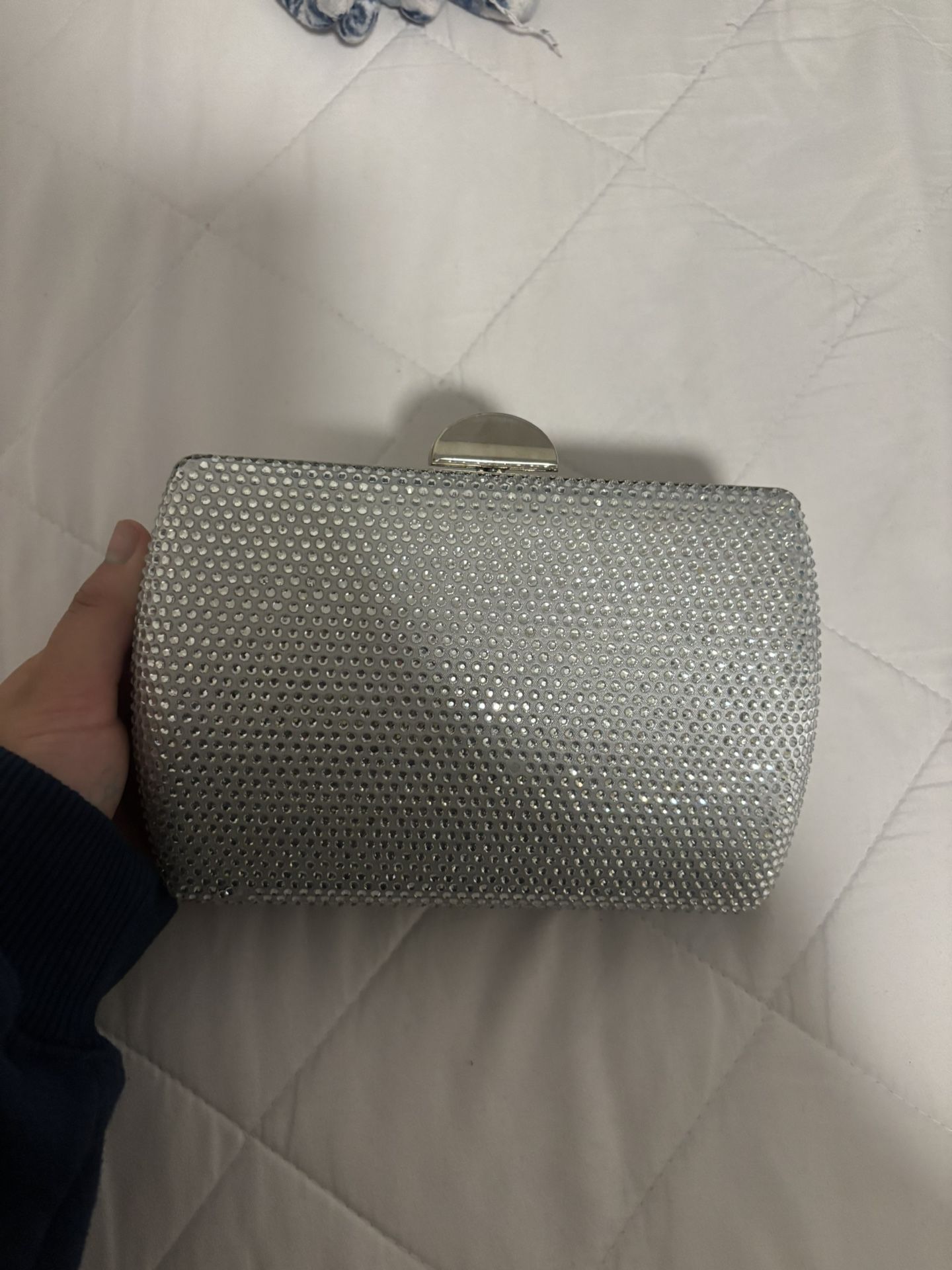 Shinny Bag