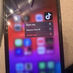 iPhone 15 Plus With TikTok Installed 