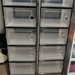 Plastic Shoe / Sneaker Box (Set of 12)