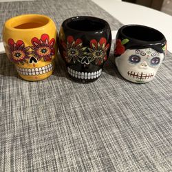 Skull Mini Pots/Planters