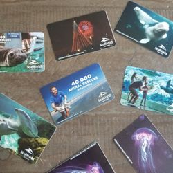 Seaworld Tickets