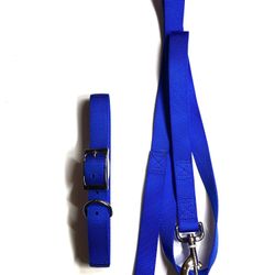 Dog Collar And  Leash 