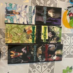 Black Clover Books 
