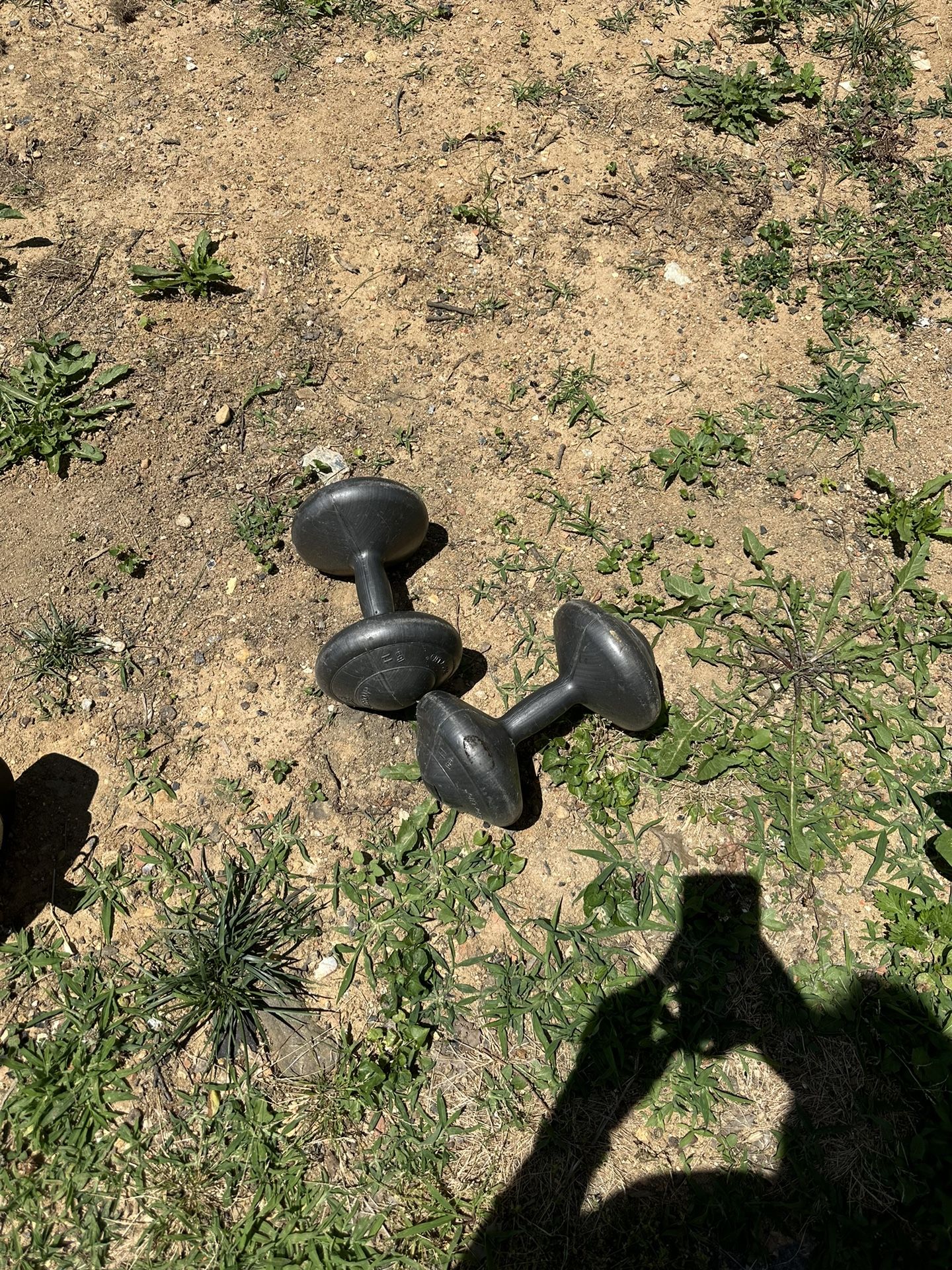  (2x) 11lbs Dumbbells