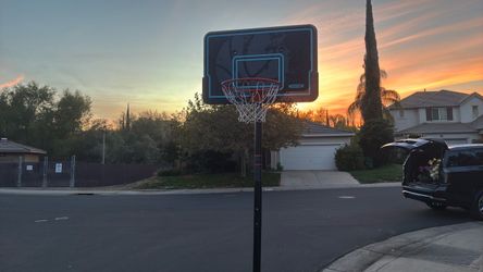 Lifetime 44 in. Adjustable Portable Basketball Hoop (90759)