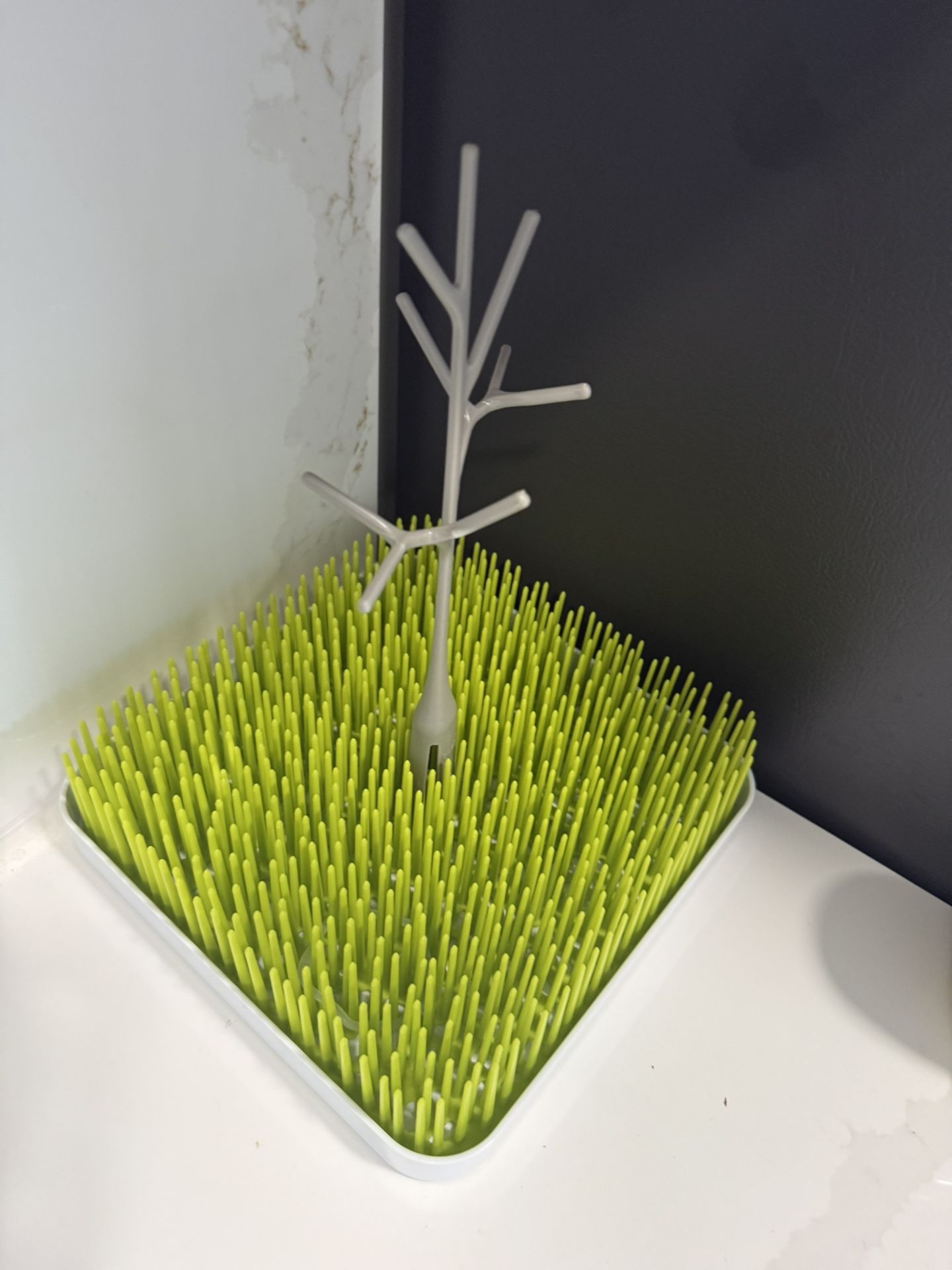 🌱 Boon Grass Drying Rack + Tree Accessory – $5 (Cash Only) | Westfield, NJ