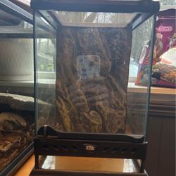 Reptile Enclosure