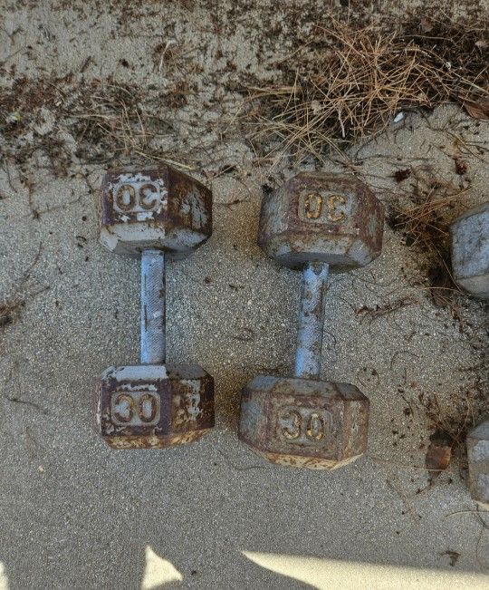 30 Pound Dumbbells