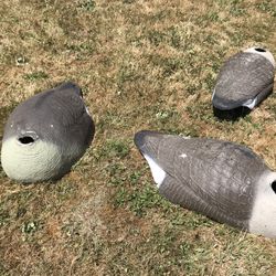 Headless Goose Decoys 