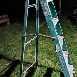 Werner 6' Fiberglass Step Ladder 