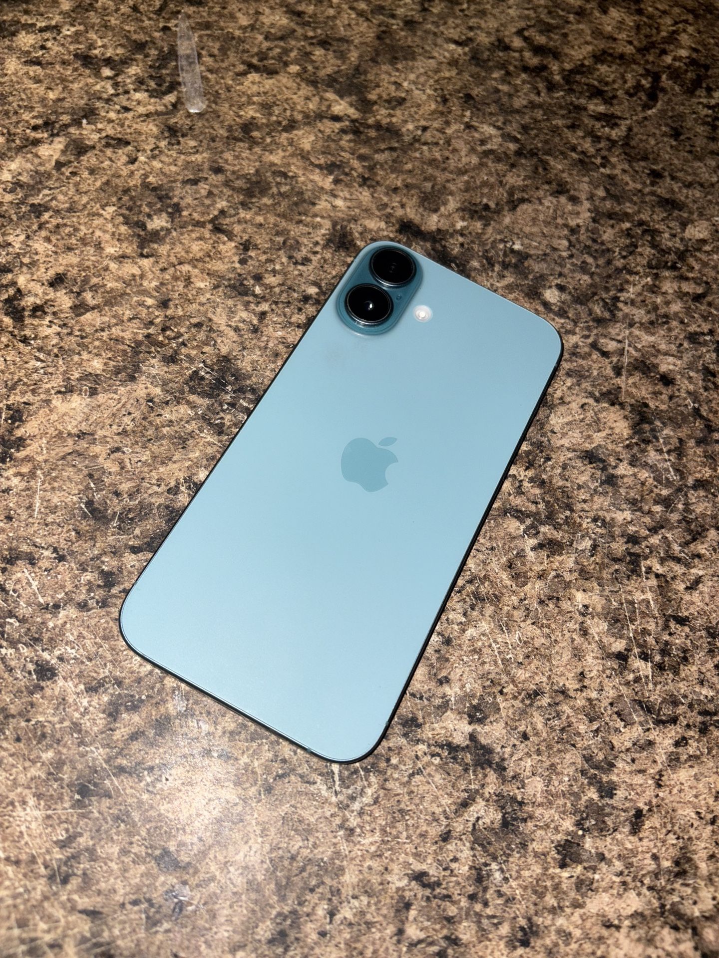 iPhone 16 Plus