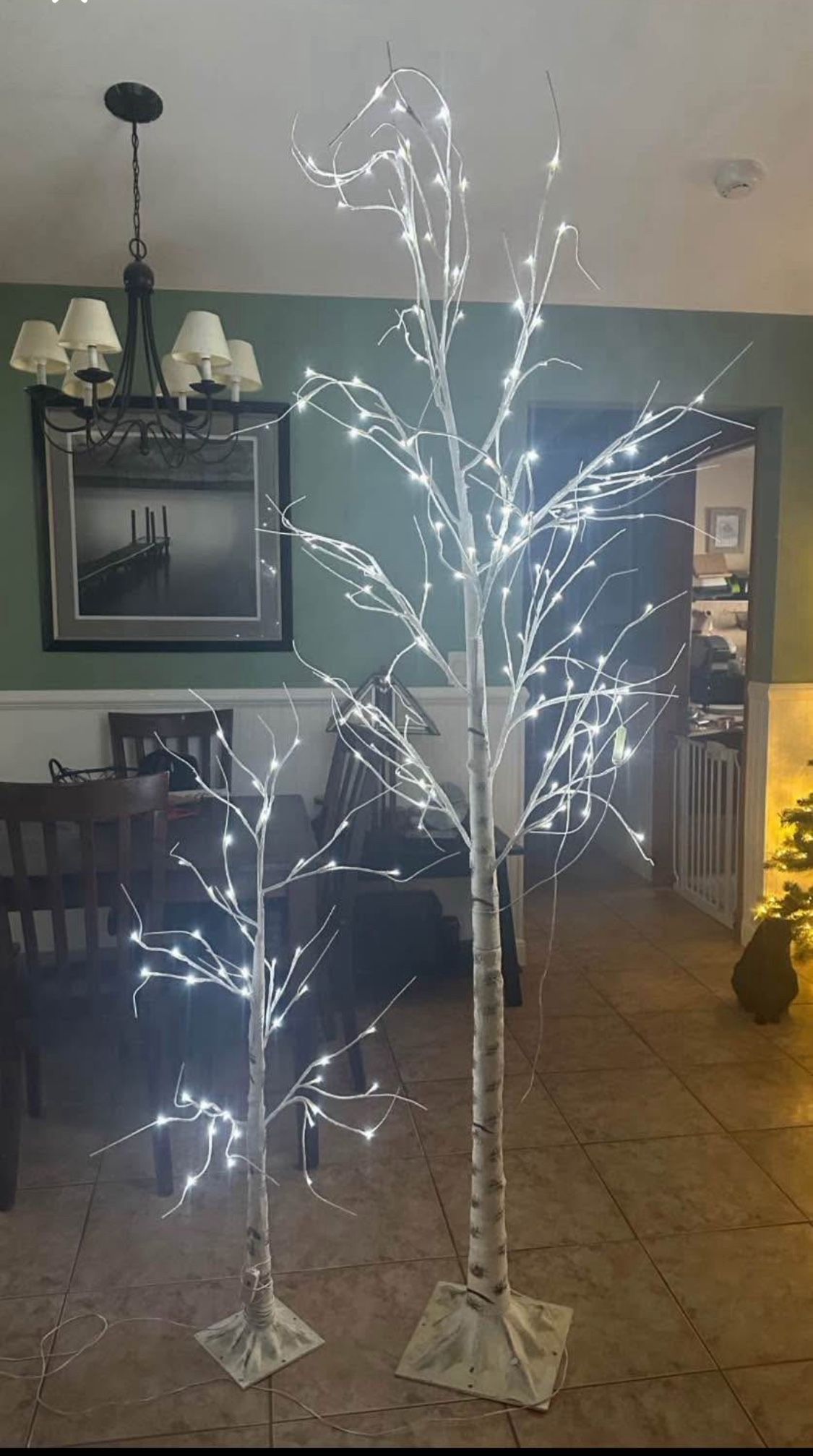 2 Lighted Trees.