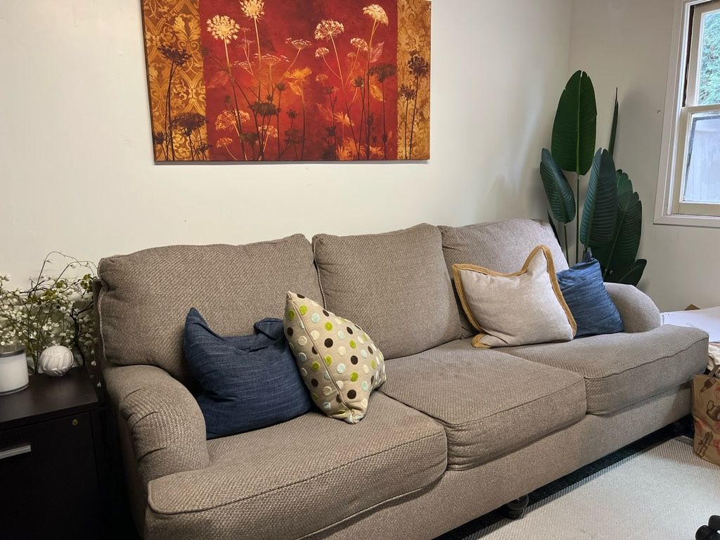 Queen Pull-Out Sofa & Matching Arm Chair – Great Condition!