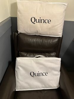 Selling Brand New Quince Premium Down Alternative Pillows - Set of 2