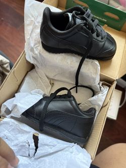 Pumas