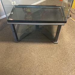 40 Gallon Tank & Table 
