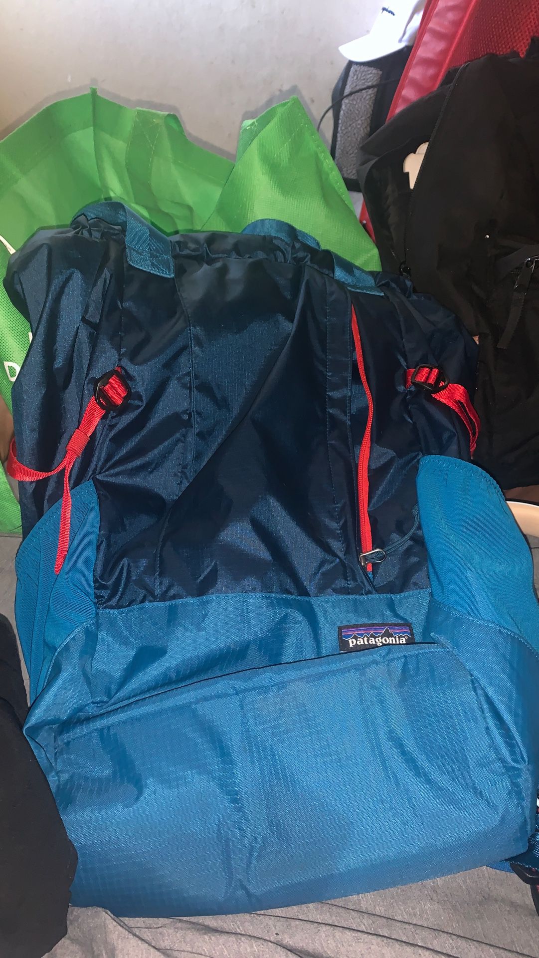 Patagonia Hiking Bag