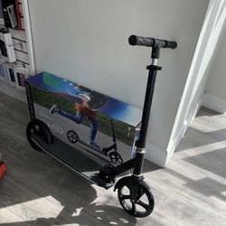 Light Up Push Scooter 