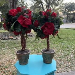 Flower 🌹 20$ Both