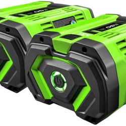 2 EGO POWER+ 56-Volt 12.0Ah battery