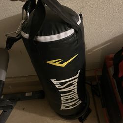 Everlast Punching Bag