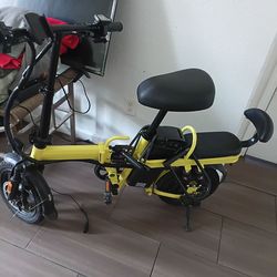 E Bike With Extra Seat