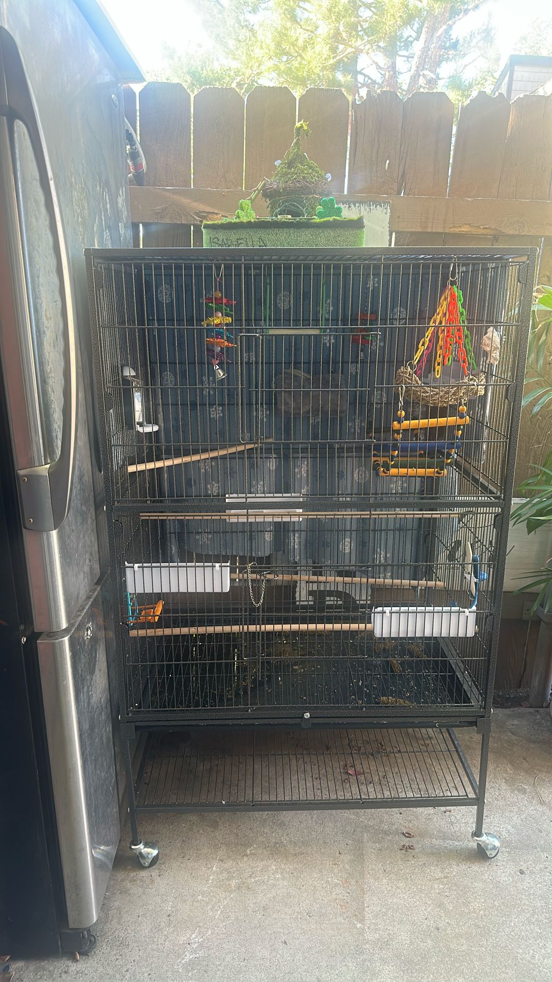 Bird Cage