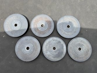 Fringe Sport Bumper Plates