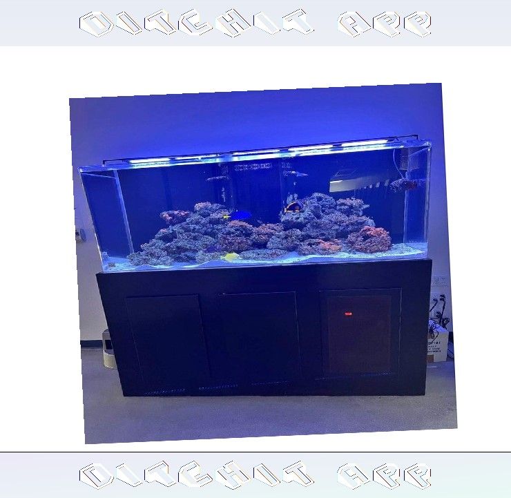 election company Top-Grade Aquarium Setup - Premium Quality Standard