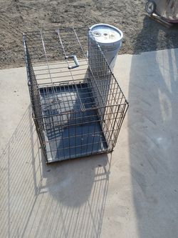 dog Cage