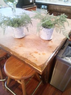 Both plant 15