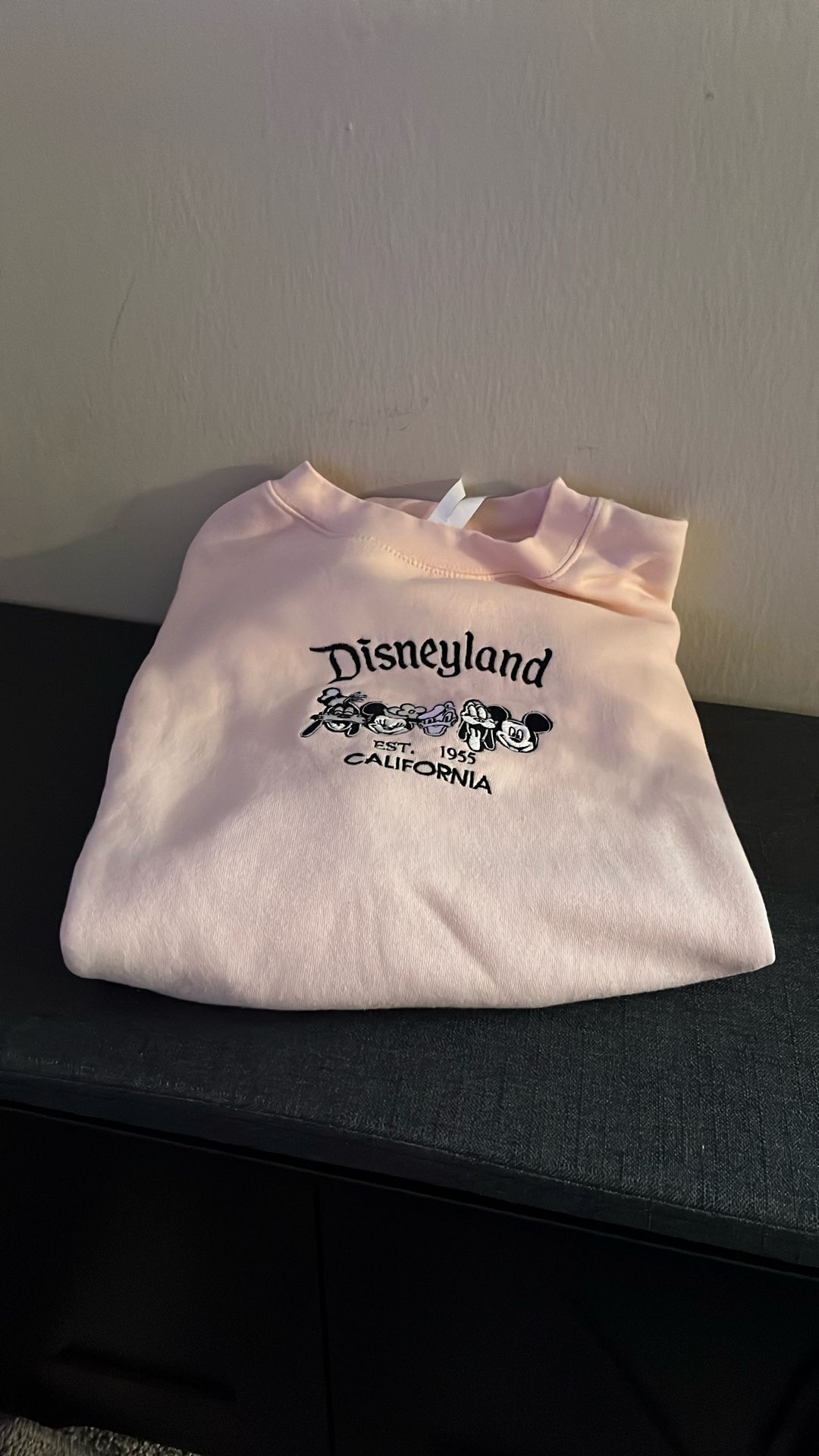 Disneyland Crew neck 