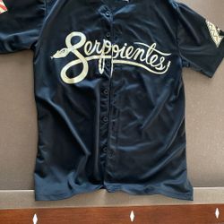 Serpientes Baseball Jersey