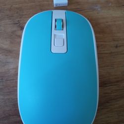 WIRELESS BLUETOOTH MOUSE 