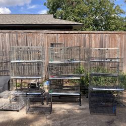 Bird Cages