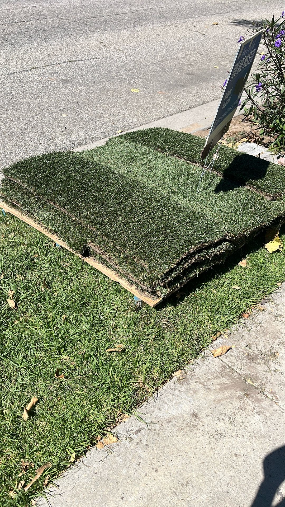 Fresh Sod