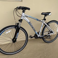 Schwinn Dual Sport Bike