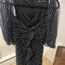 Zara Polka Dress 