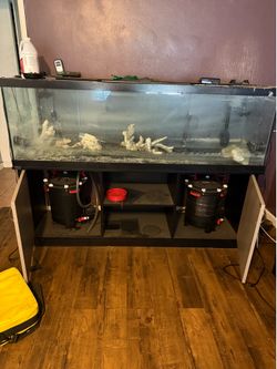 Aquarium
