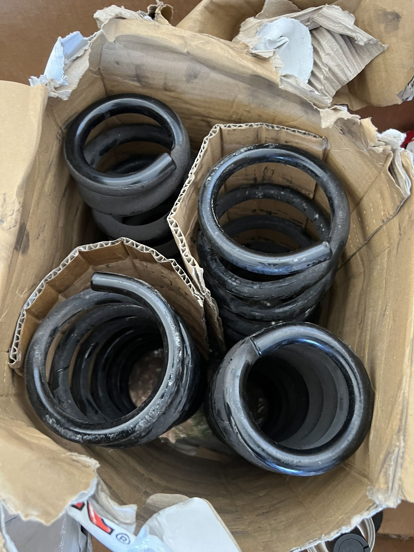 Oem Coil Spring Set