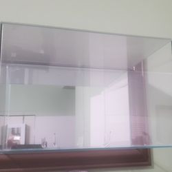 Memoriabilia  Display Case Wal-Mount-Glass